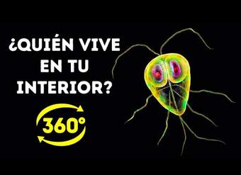 La Vida Secreta De Las Bacterias En Tu Cuerpo || 360 VR La Vida Secreta De Las Bacterias En Tu Cuerpo || 360 VR