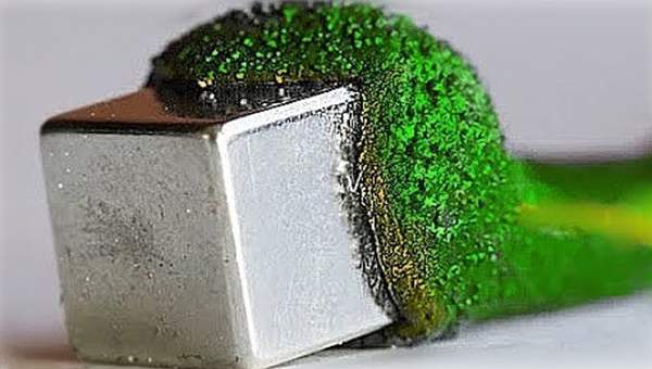 Esta bacteria puede comer 12.000.000.000 toneladas de basura Esta bacteria puede comer 12.000.000.000 toneladas de basura