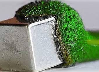 Esta bacteria puede comer 12.000.000.000 toneladas de basura Esta bacteria puede comer 12.000.000.000 toneladas de basura