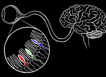 How we see color - Colm Kelleher How we see color - Colm Kelleher