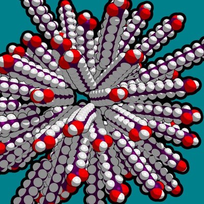 What is Chemical Evolution? What is Chemical Evolution?