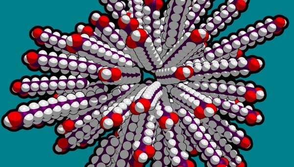 What is Chemical Evolution? What is Chemical Evolution?