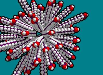 What is Chemical Evolution? What is Chemical Evolution?