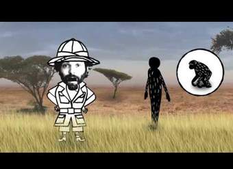 Evolución humana: del árbol al suelo Evolución humana: del árbol al suelo