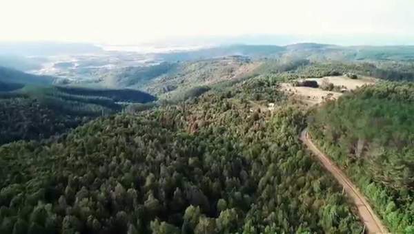 Video Degradacion del Bosque Nativo en Chile Video Degradacion del Bosque Nativo en Chile