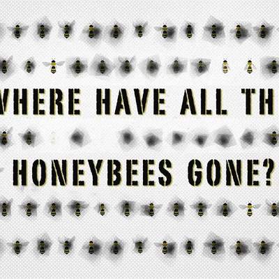 The case of the vanishing honeybees - Emma Bryce The case of the vanishing honeybees - Emma Bryce