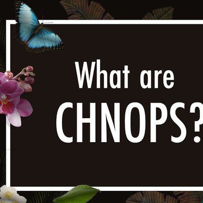 What are CHNOPS? These Chemical Elements = 98% of Life | Biology | Biochemistry What are CHNOPS? These Chemical Elements = 98% of Life | Biology | Biochemistry