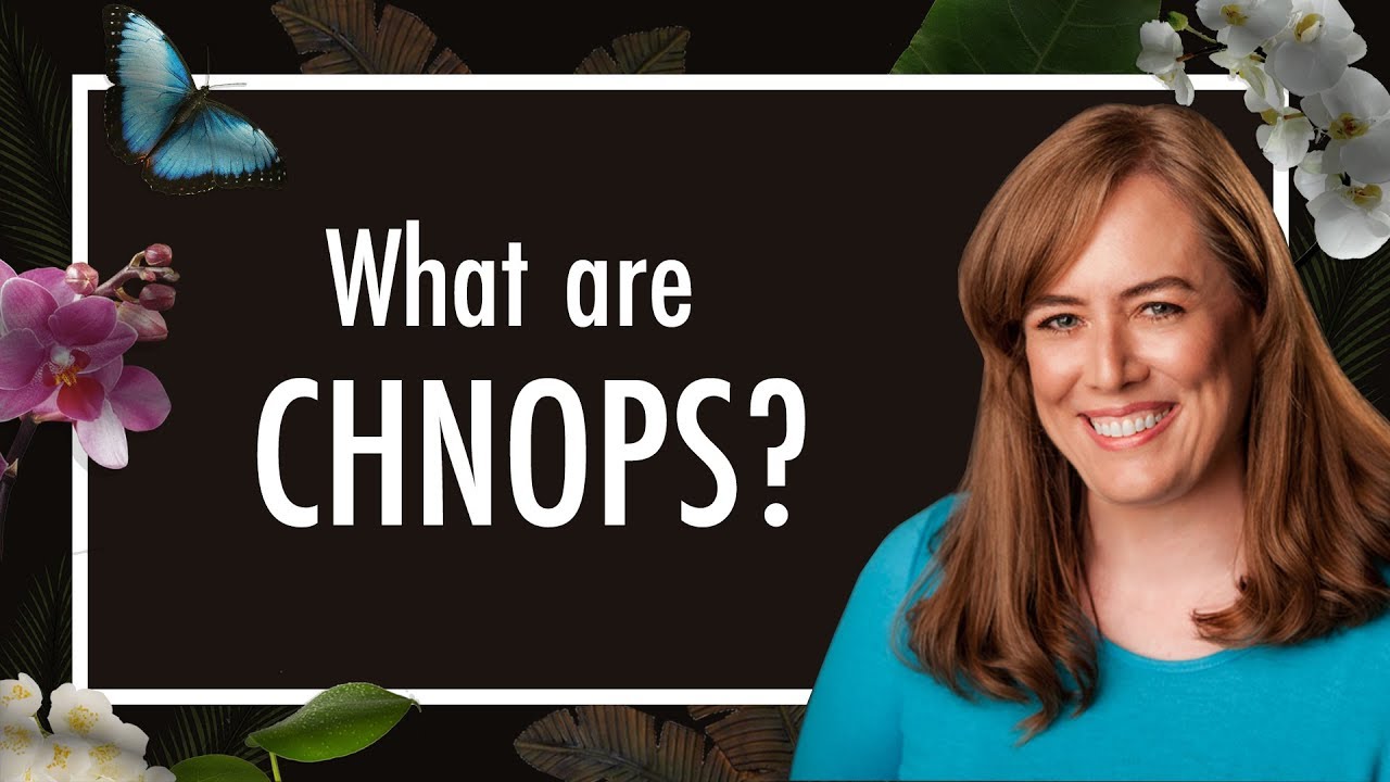 What are CHNOPS? These Chemical Elements = 98% of Life | Biology | Biochemistry What are CHNOPS? These Chemical Elements = 98% of Life | Biology | Biochemistry