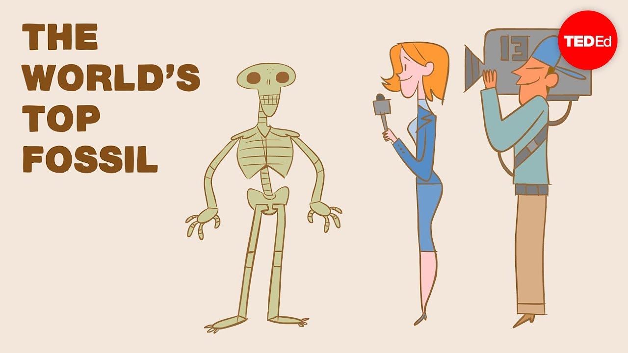 How to fossilize...yourself - Phoebe A. Cohen How to fossilize...yourself - Phoebe A. Cohen