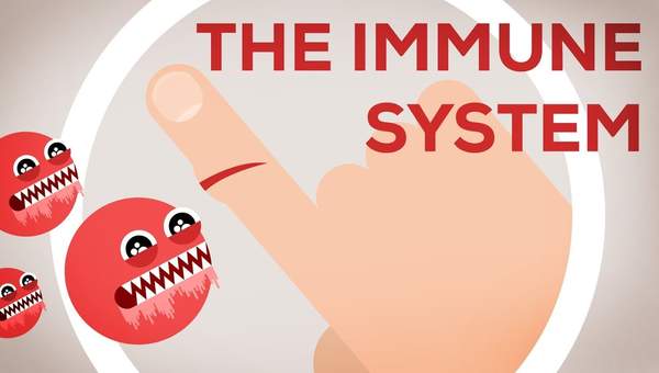The Immune System Explained I – Bacteria Infection The Immune System Explained I – Bacteria Infection
