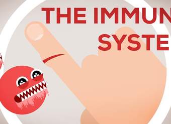 The Immune System Explained I – Bacteria Infection The Immune System Explained I – Bacteria Infection
