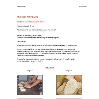 Anexo Control y procesamiento de información contable Anexo Control y procesamiento de información contable