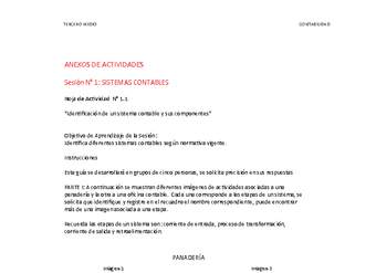 Anexo Control y procesamiento de información contable Anexo Control y procesamiento de información contable