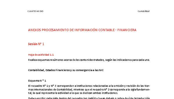 Anexo Procesamiento de información contable financiera Anexo Procesamiento de información contable financiera
