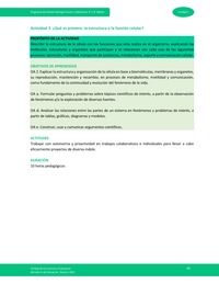 Actividad 3: ¿Qué es primero: la estructura o la función celular?