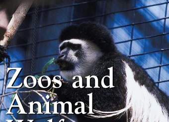 Zoos And Animal Welfare Zoos And Animal Welfare