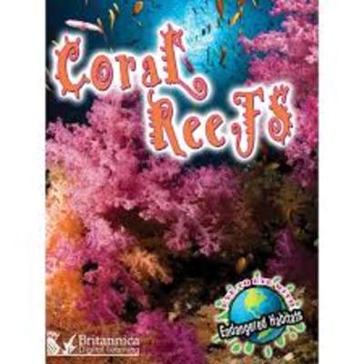 Coral Reefs Coral Reefs