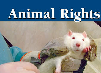 Animal Rights Animal Rights
