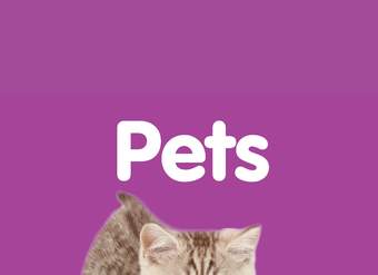 My First Playlist: Pets My First Playlist: Pets