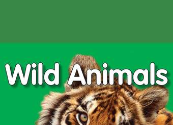 My First Playlist: Wild Animals My First Playlist: Wild Animals