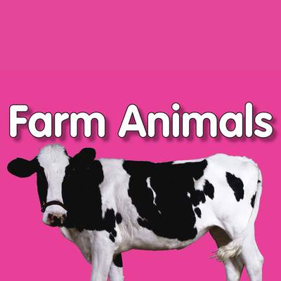 Farm Animals Farm Animals