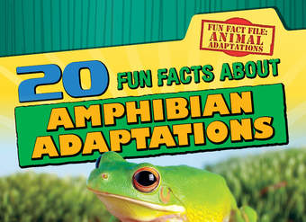 20 Fun Facts About Amphibian Adaptations 20 Fun Facts About Amphibian Adaptations