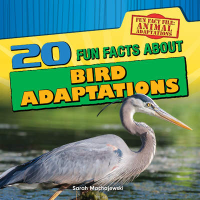 20 Fun Facts About Bird Adaptations 20 Fun Facts About Bird Adaptations
