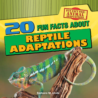 20 Fun Facts About Reptile Adaptations 20 Fun Facts About Reptile Adaptations