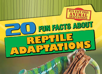 20 Fun Facts About Reptile Adaptations 20 Fun Facts About Reptile Adaptations