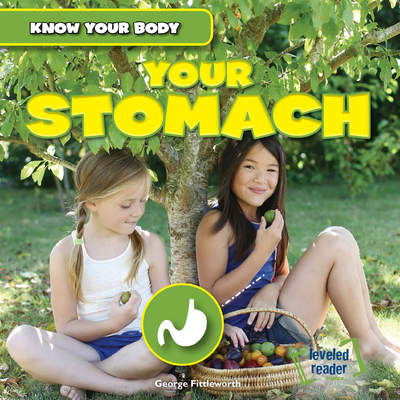 Your Stomach Your Stomach