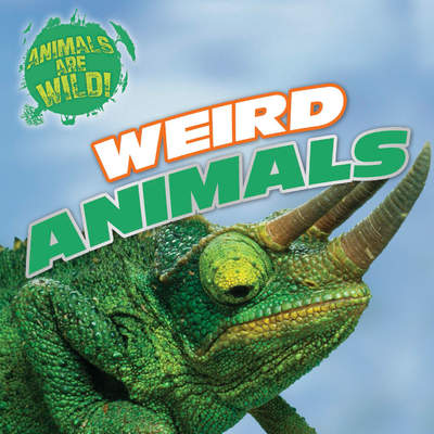 Weird Animals Weird Animals