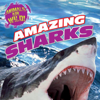 Amazing Sharks Amazing Sharks