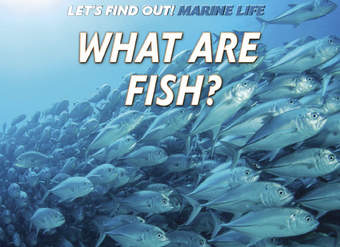 What Are Fish? What Are Fish?