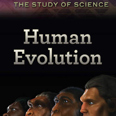 Human Evolution Human Evolution