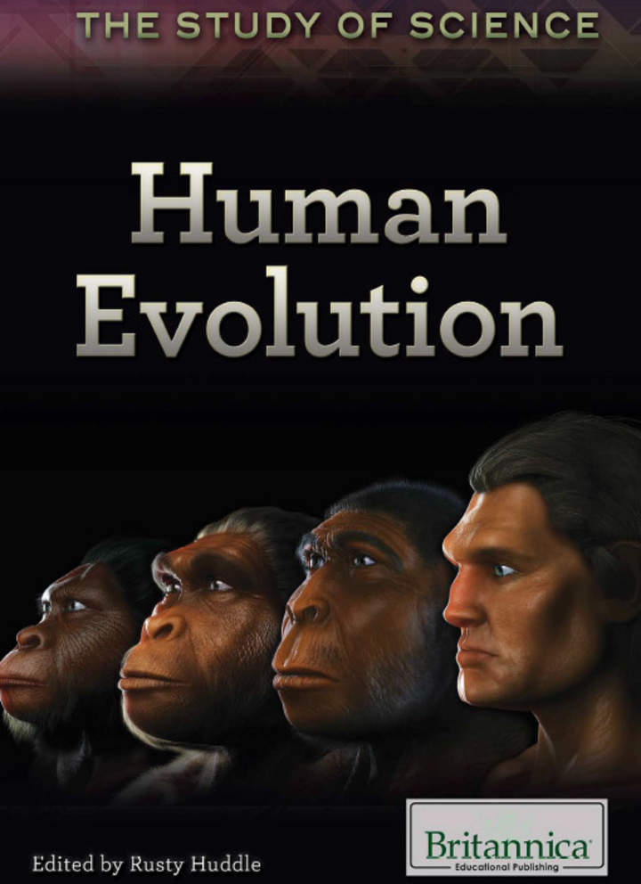 Human Evolution Human Evolution