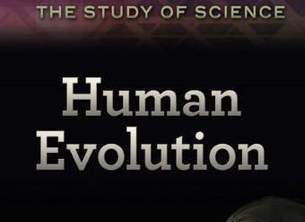 Human Evolution Human Evolution