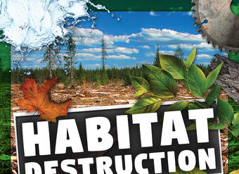 Habitat Destruction Habitat Destruction