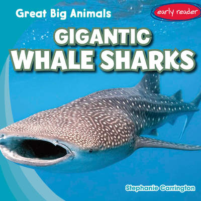 Gigantic Whale Sharks Gigantic Whale Sharks