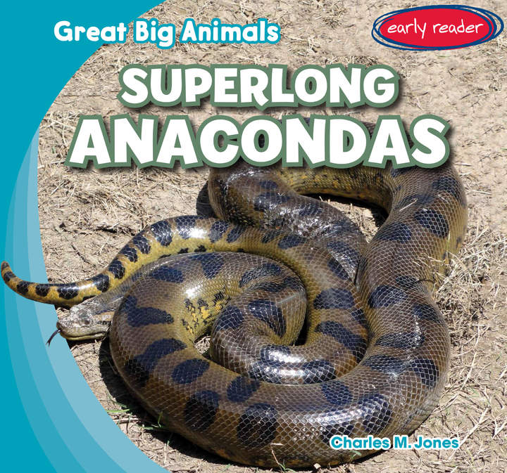 Superlong Anacondas Superlong Anacondas