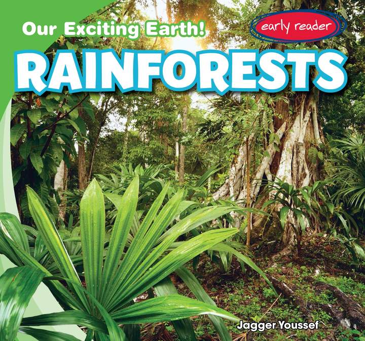 Rainforests Rainforests