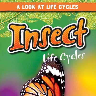 Insect Life Cycles Insect Life Cycles