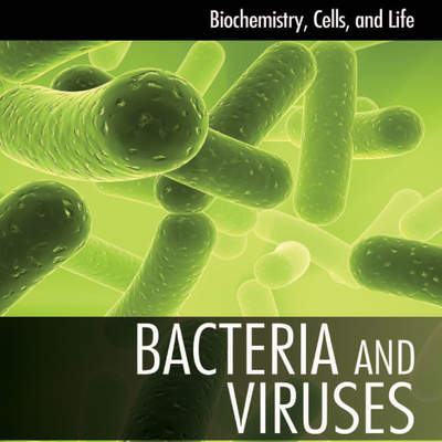 Bacteria and Viruses Bacteria and Viruses