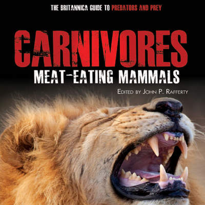 Carnivores Carnivores