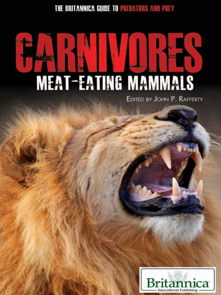 Carnivores Carnivores