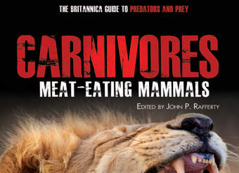 Carnivores Carnivores