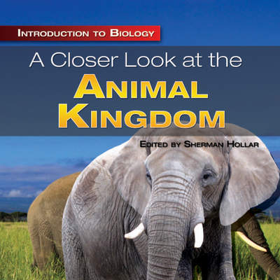 A Closer Look at the Animal Kingdom A Closer Look at the Animal Kingdom