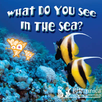 What Do You See in the Sea? What Do You See in the Sea?