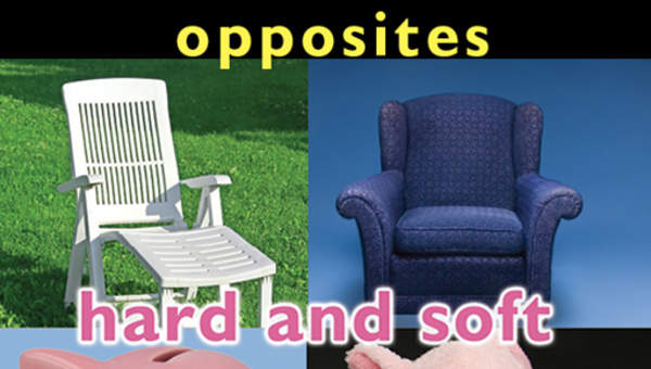 Opposites: Hard and Soft Opposites: Hard and Soft