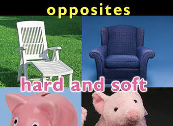 Opposites: Hard and Soft Opposites: Hard and Soft