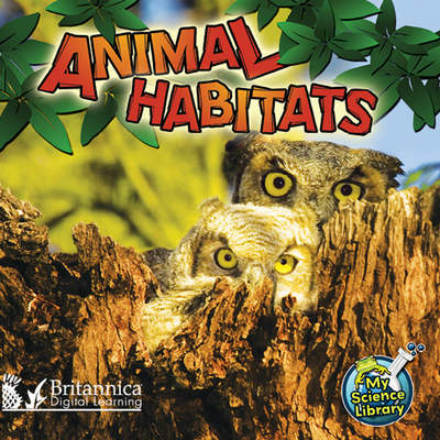 Animal Habitats Animal Habitats